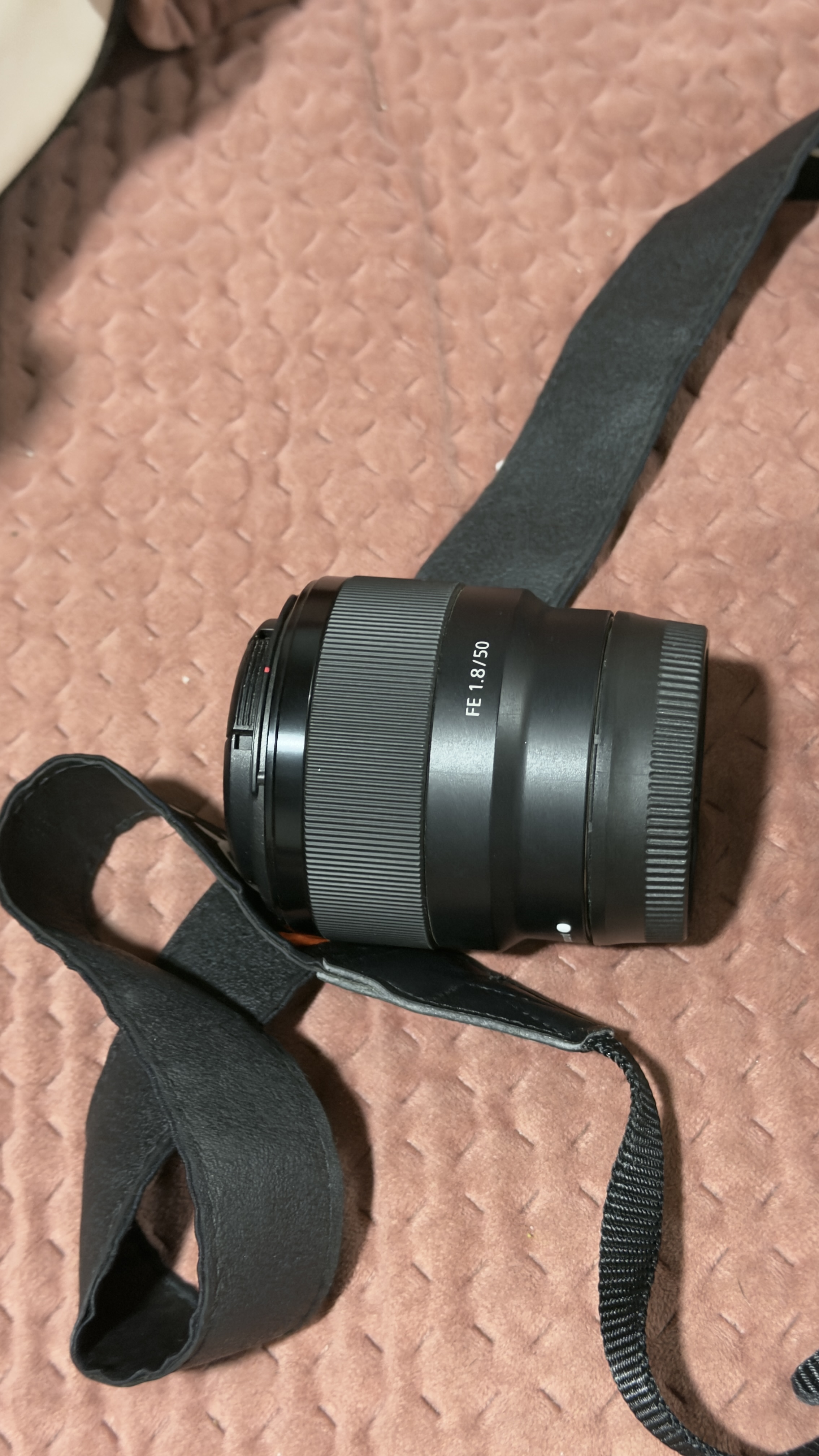 Sony Fe 50mm F/1.8 — 5